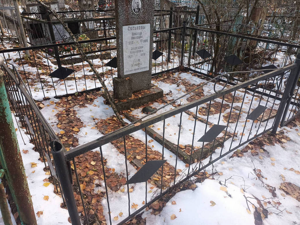 Сяськов Николай Иванович