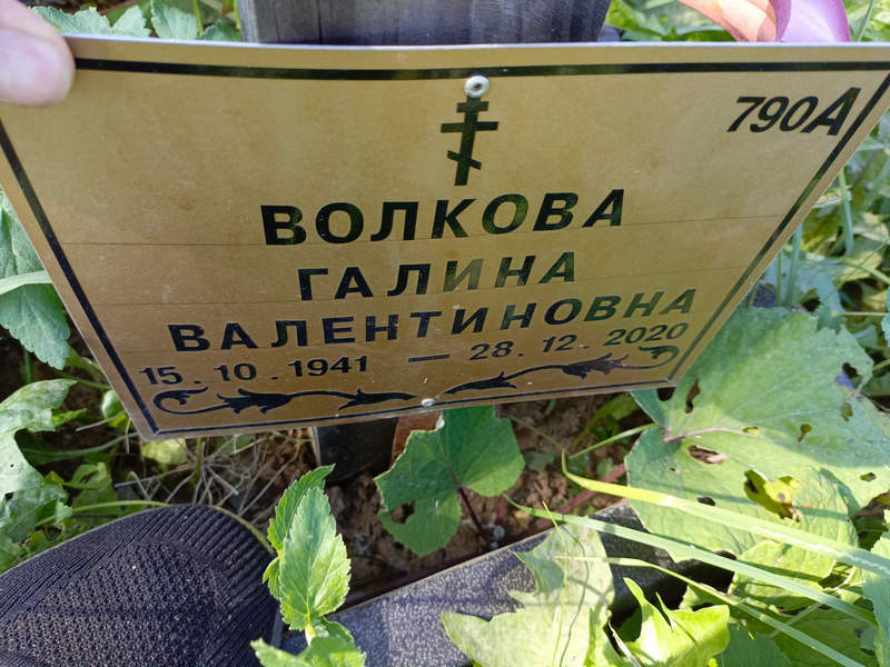 Волкова