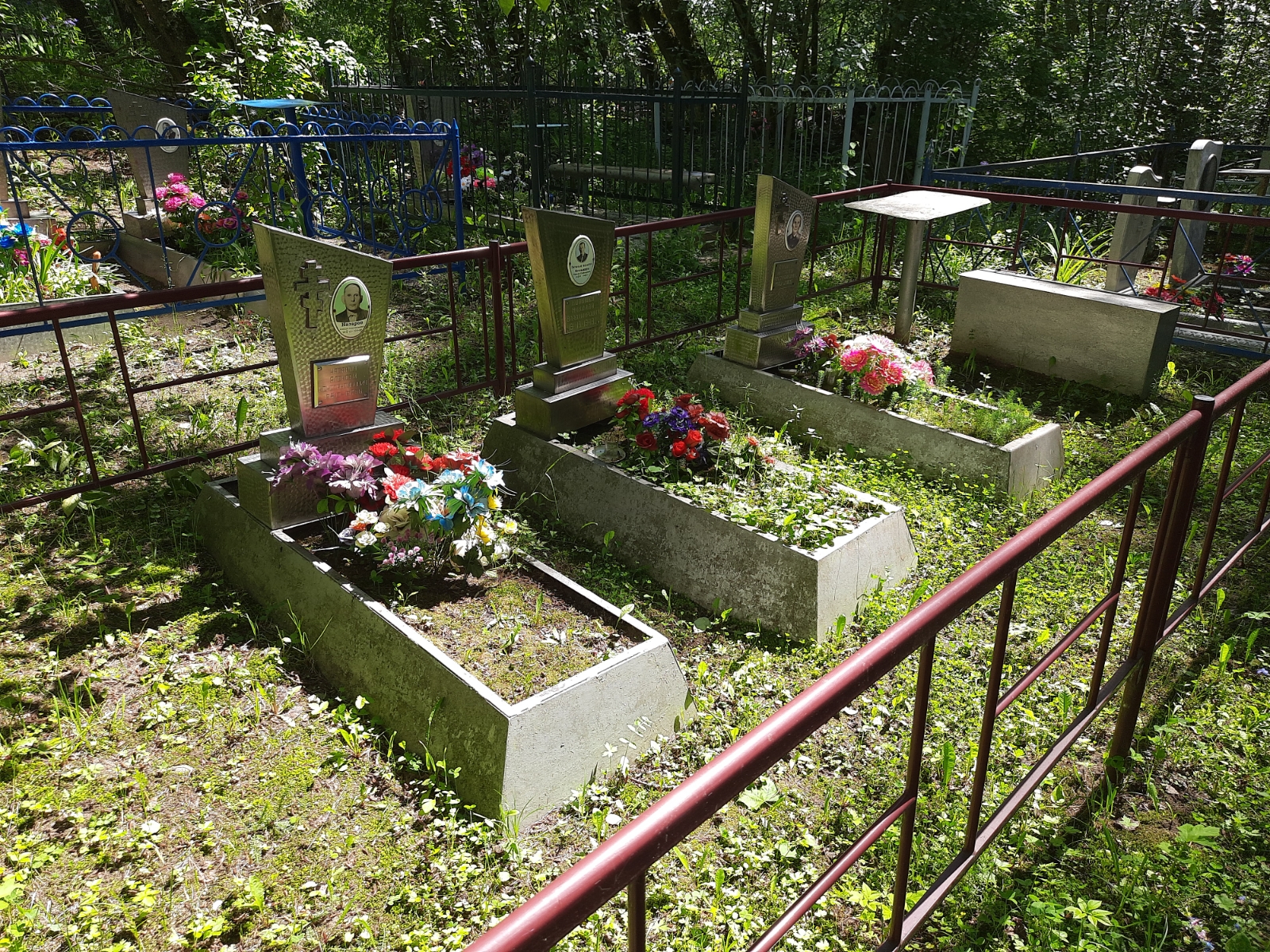 Колышева Валентина Константиновна