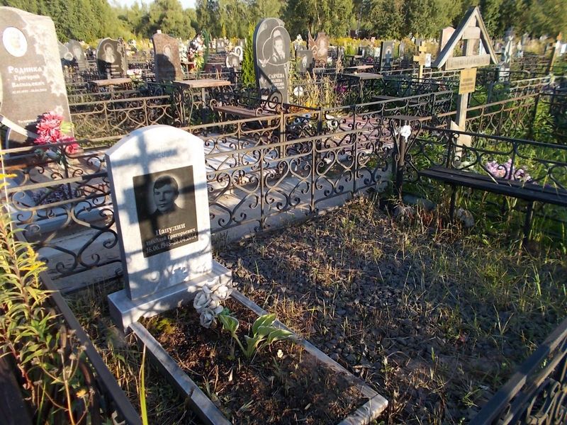 Цапулин Николай Григорьевич