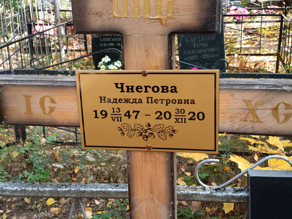 Чнегова Надежда Петровна
