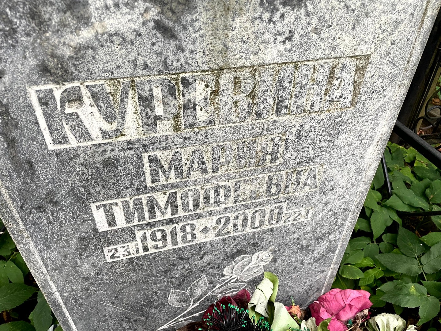 Куревина