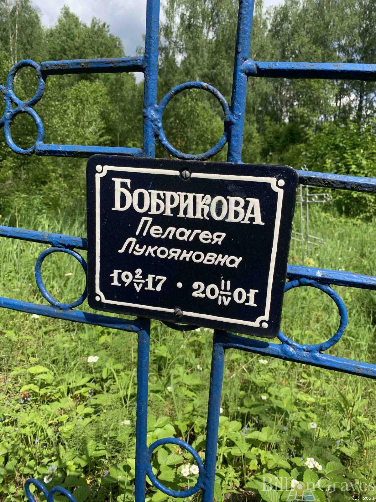 Бобрикова Пелагея Лукояновна