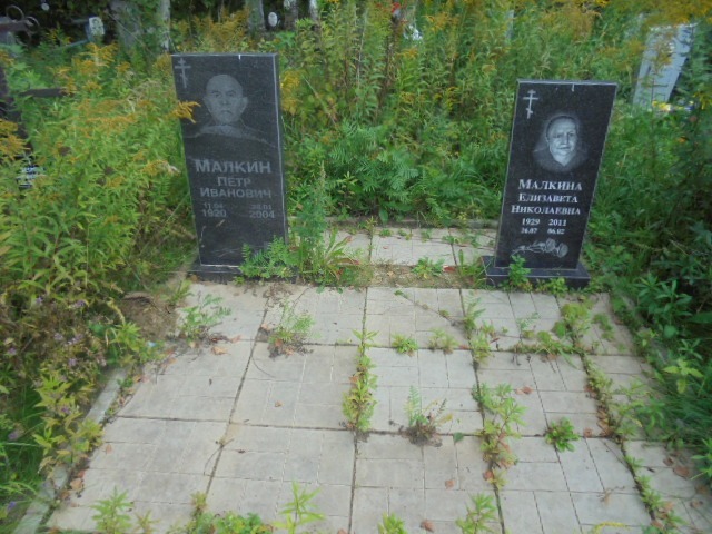 Малкин Петр Иванович