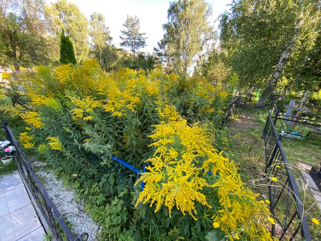 Дерова Галина Александровна