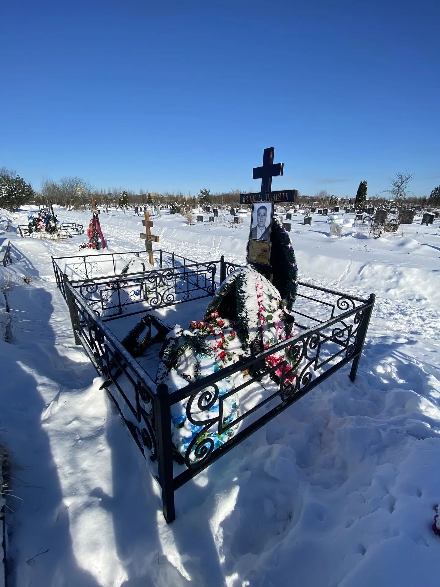 Тельман Оганесян Васильевич