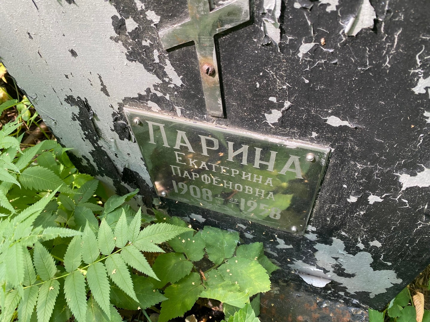 Парина