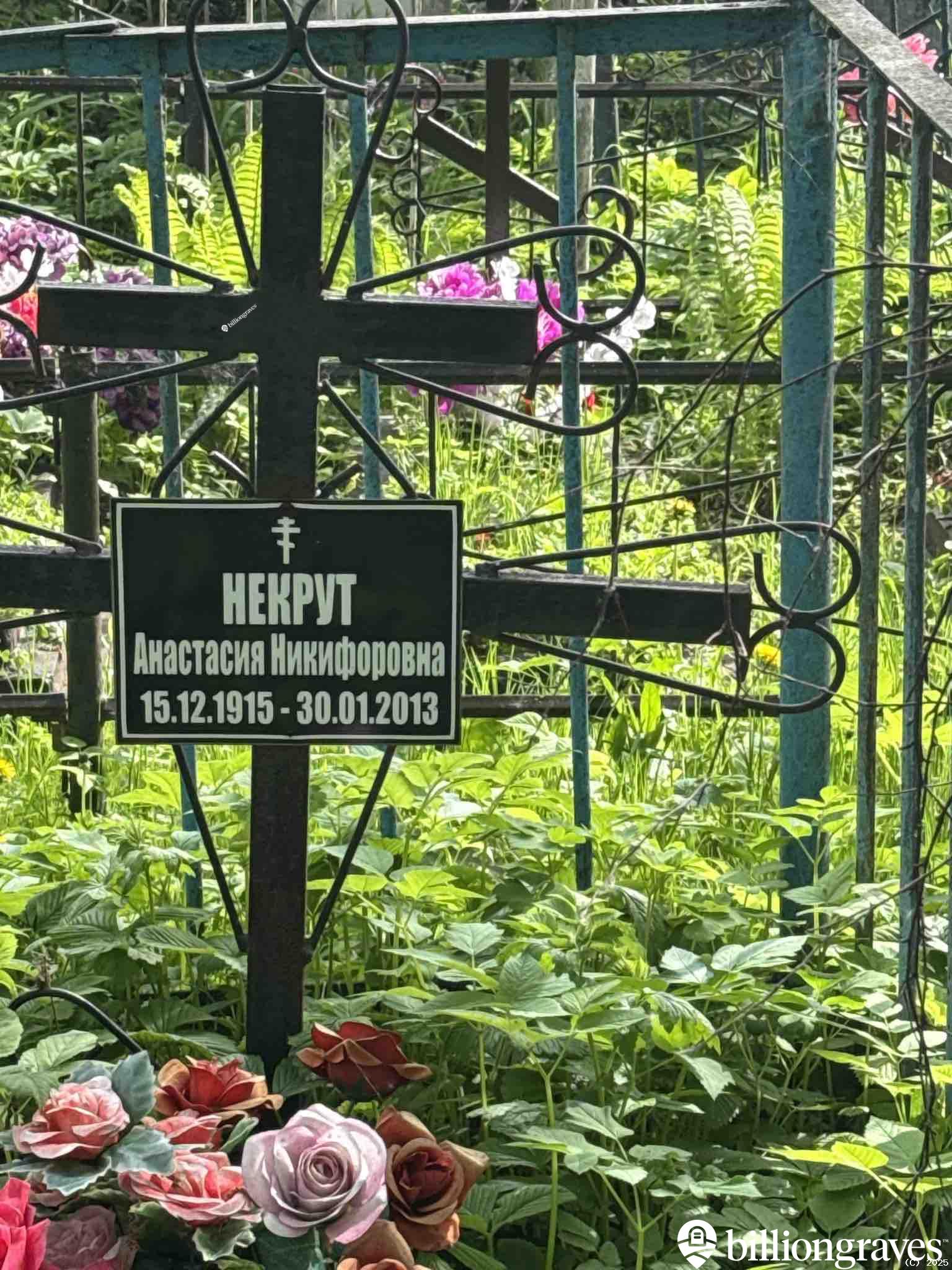 Некрут Анастасия Никифоровна