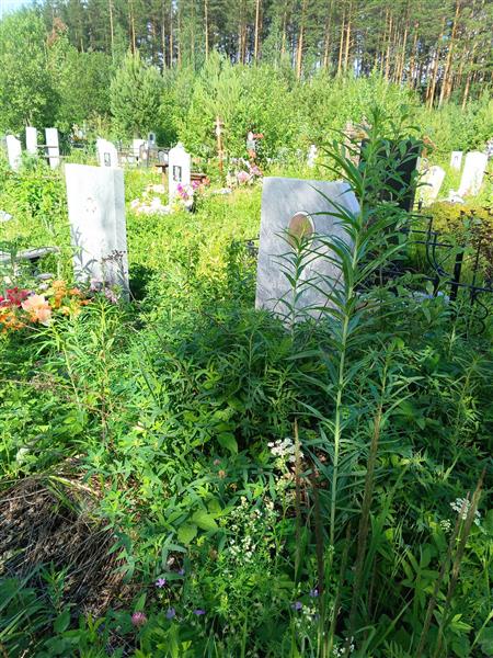 Белозерцева Галина Дмитриевна
