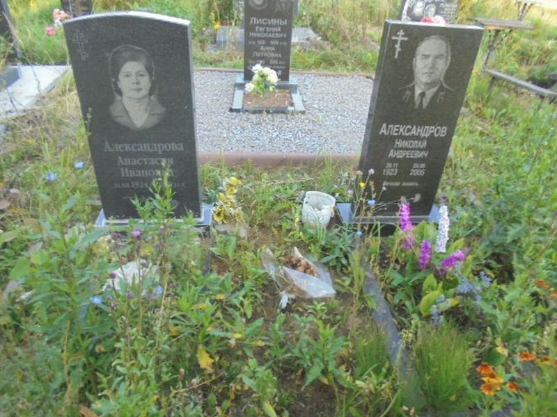 Александров Николай Андреевич
