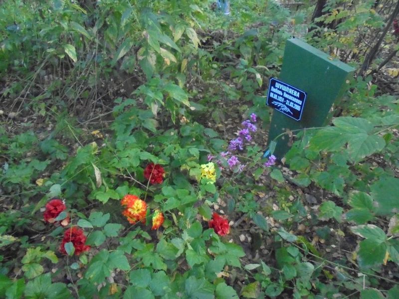 Шушляева Любовь Николаевна