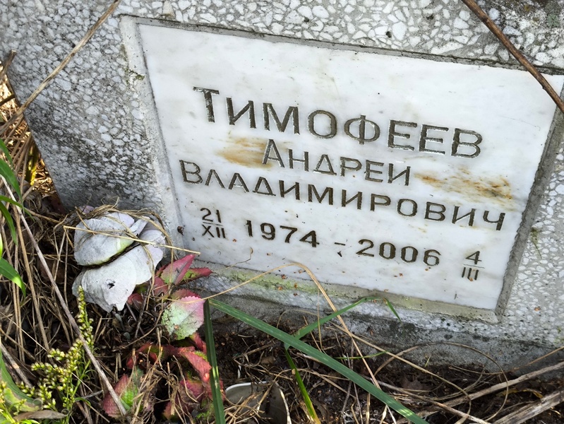 Тимофеев