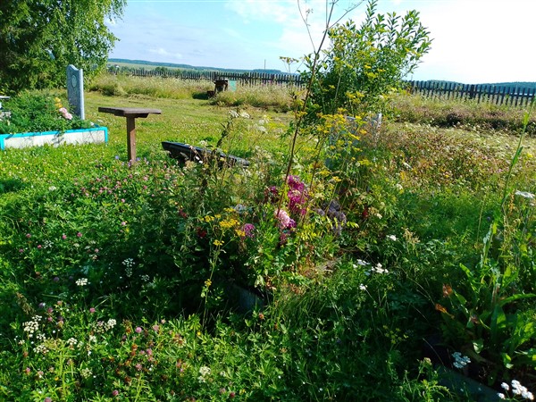 Мурзыкаев Мирфаиз