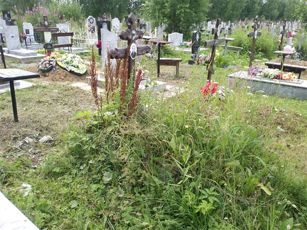 Мягков Виктор Михайлович