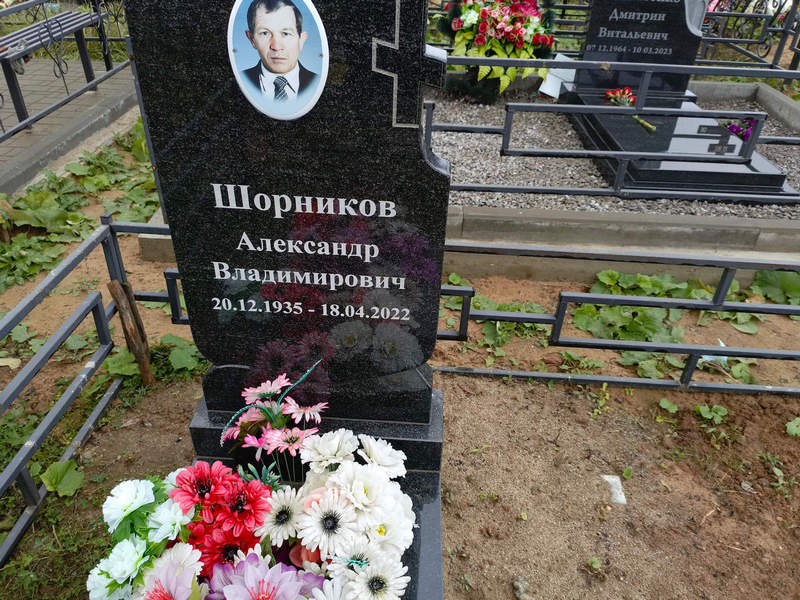 Шорников