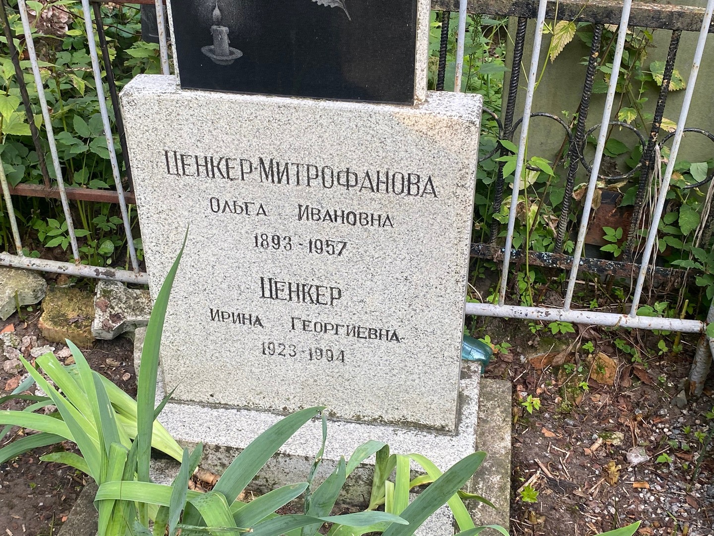 Ценкер-Митрофанова Ольга Ивановна