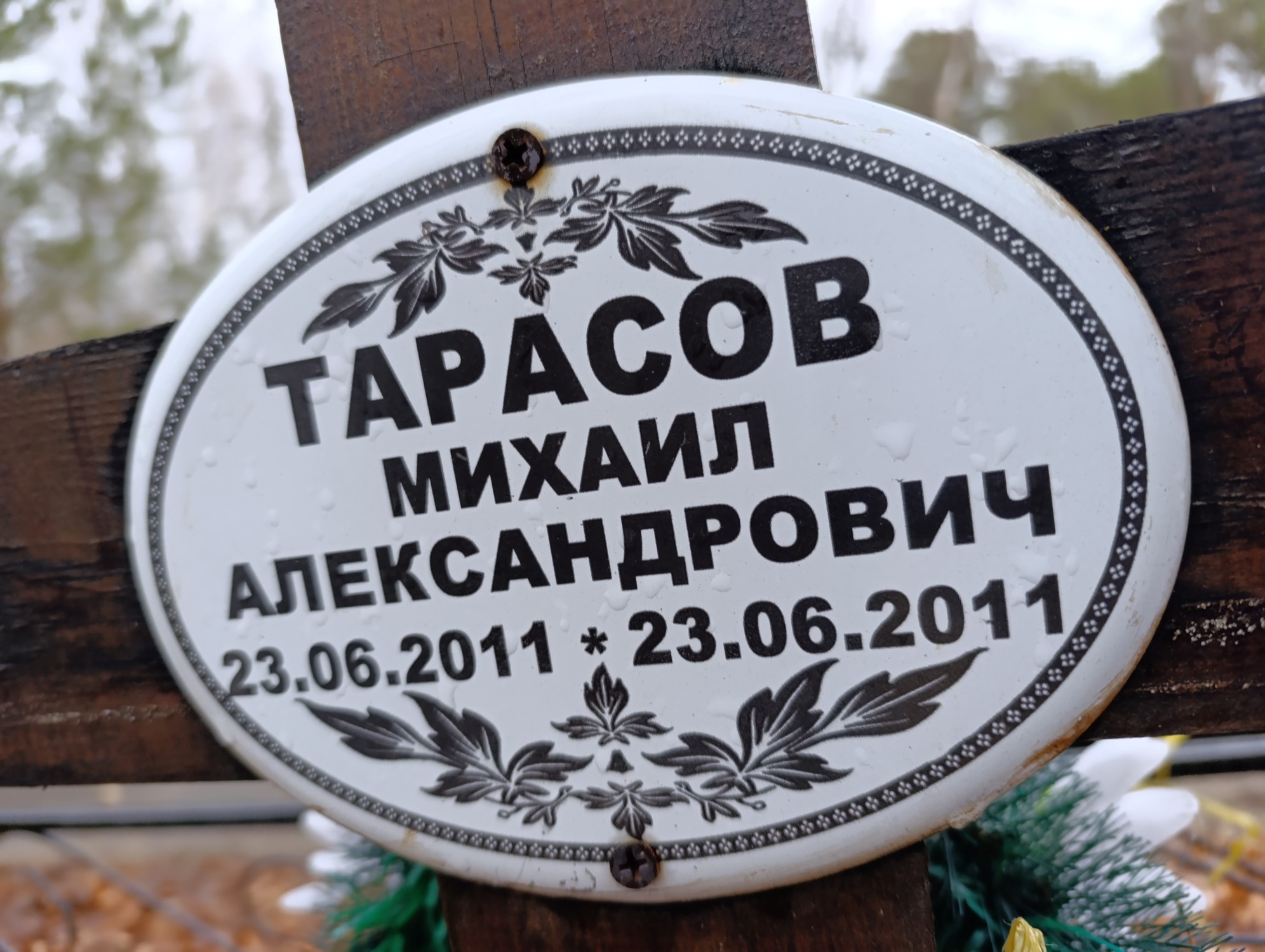 Тарасов Михаил Александрович