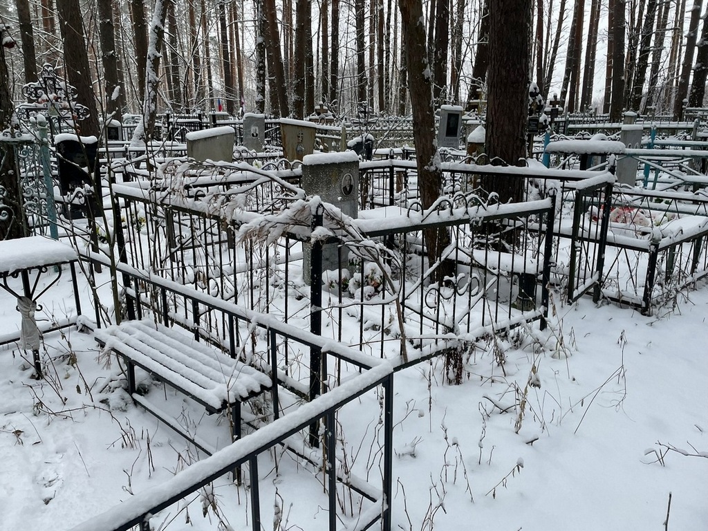 Лапин Николай Ефстифеевич