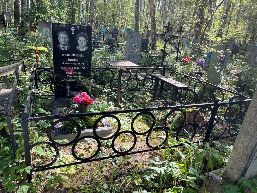 Кашицын Виктор Александрович