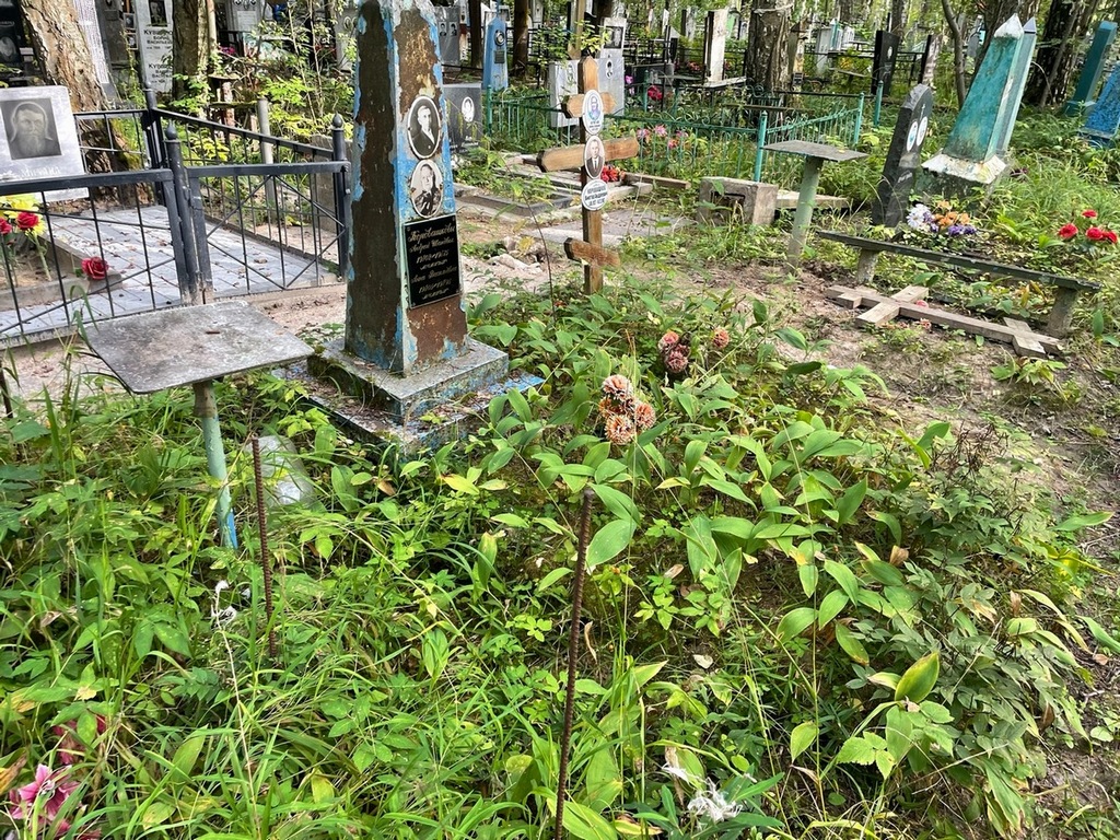 Коровашкова Анна Васильевна