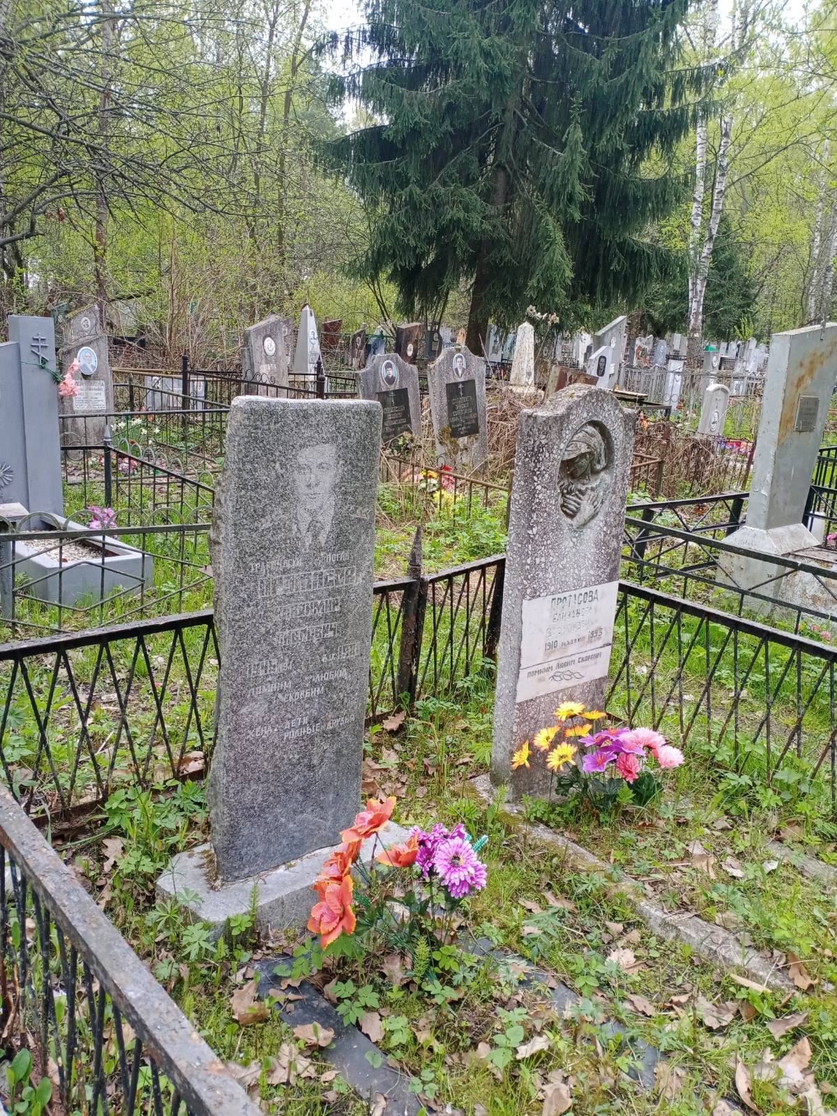 Протасов Владимир Павлович