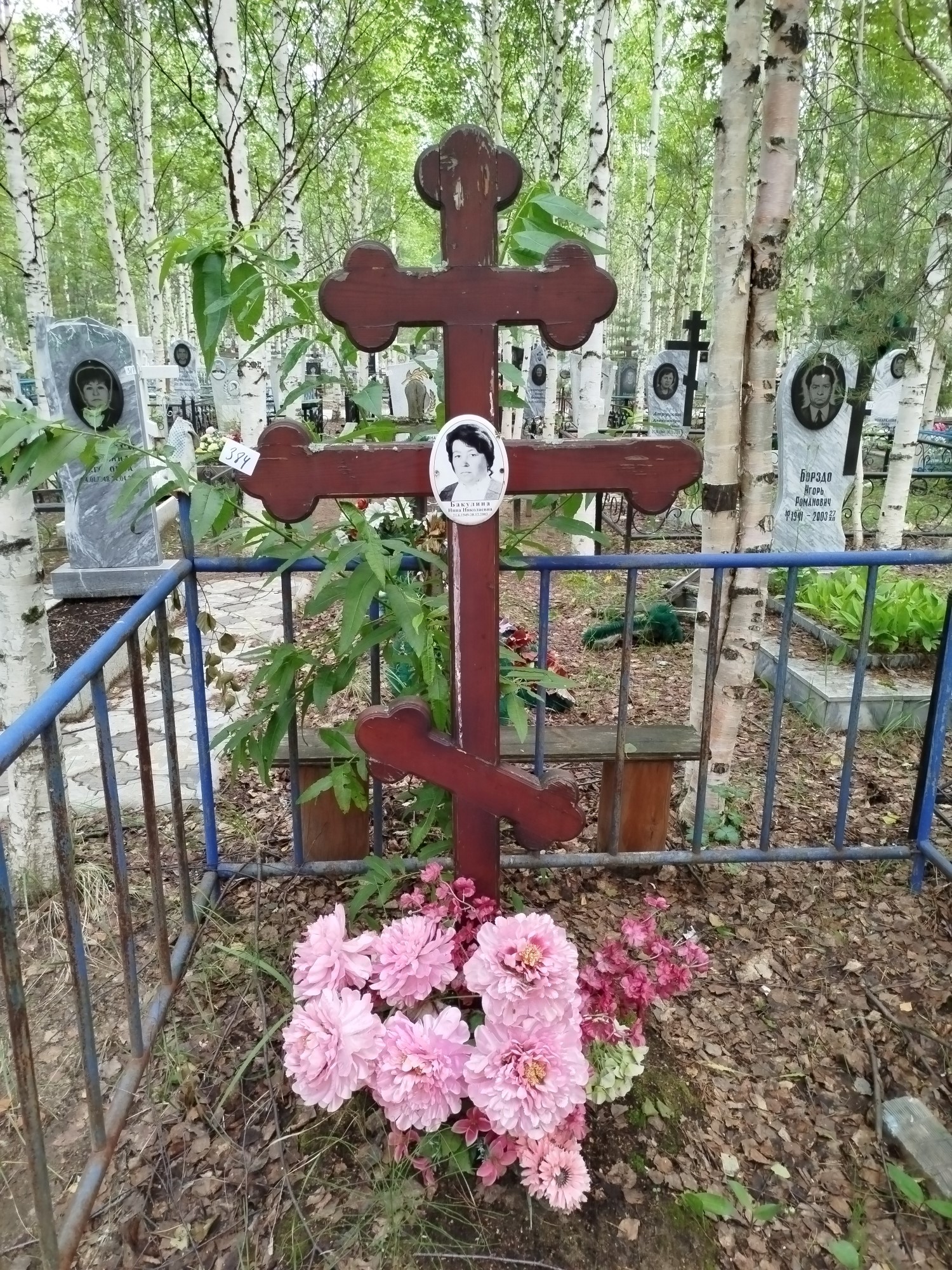 Бакулина Нина Николаевна