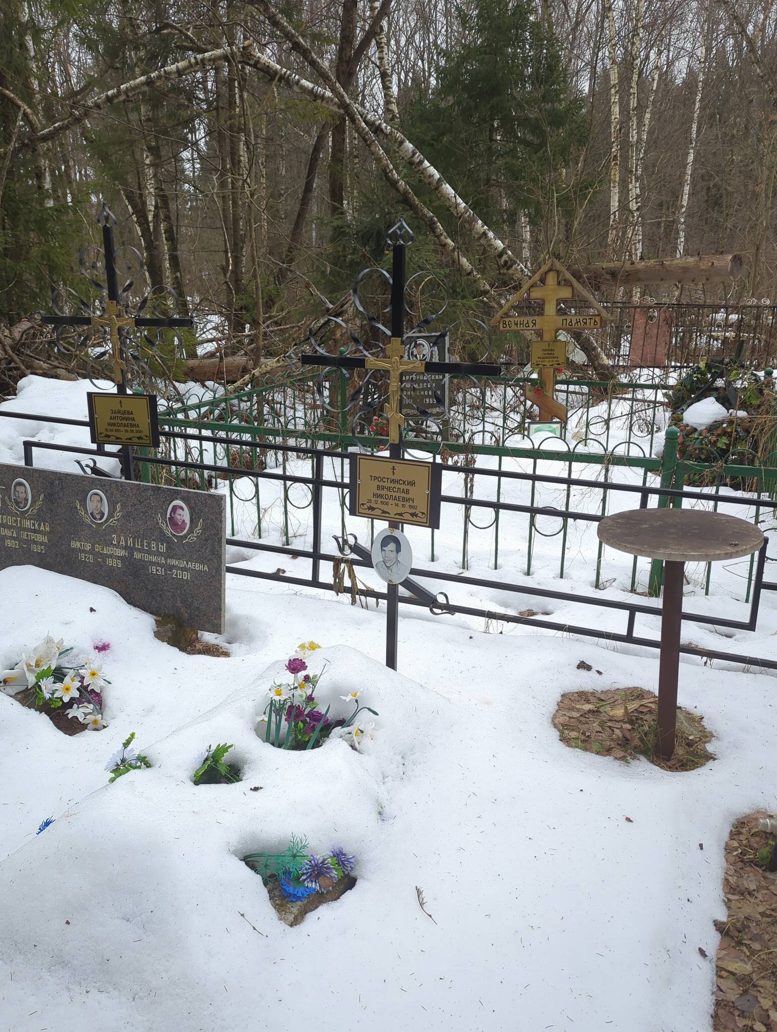 Тростинский Вячеслав Николаевич