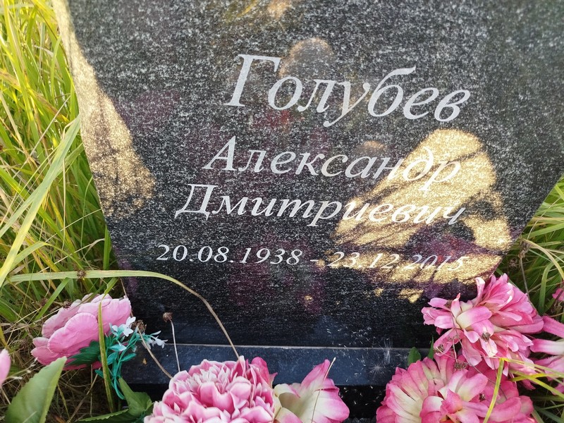 Голубев