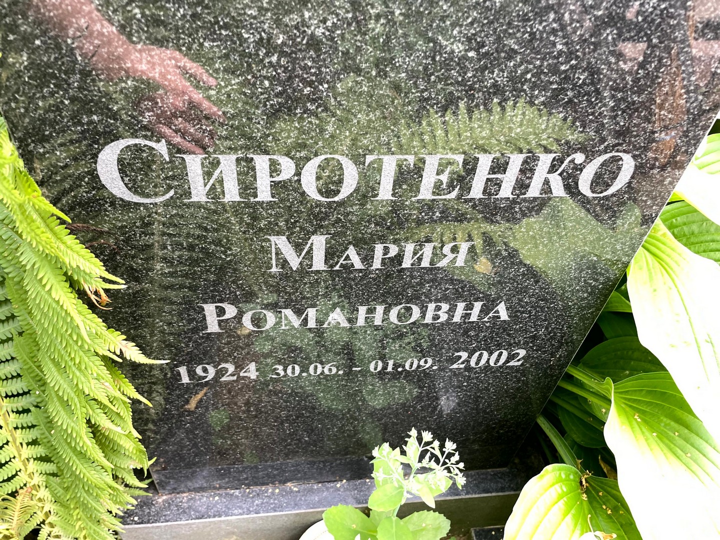 Сиротенко