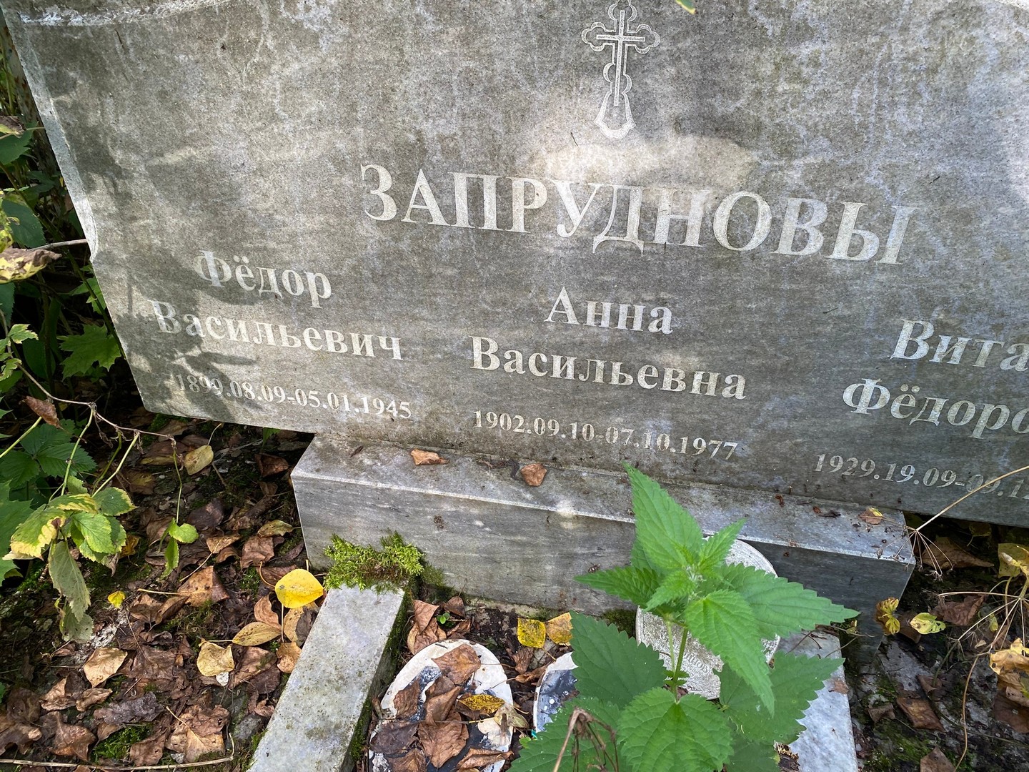 Запруднов