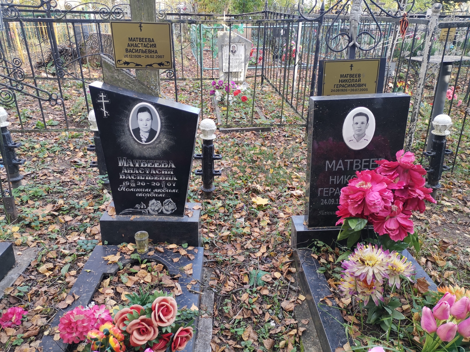 Матвеева Анастасия Васильевна