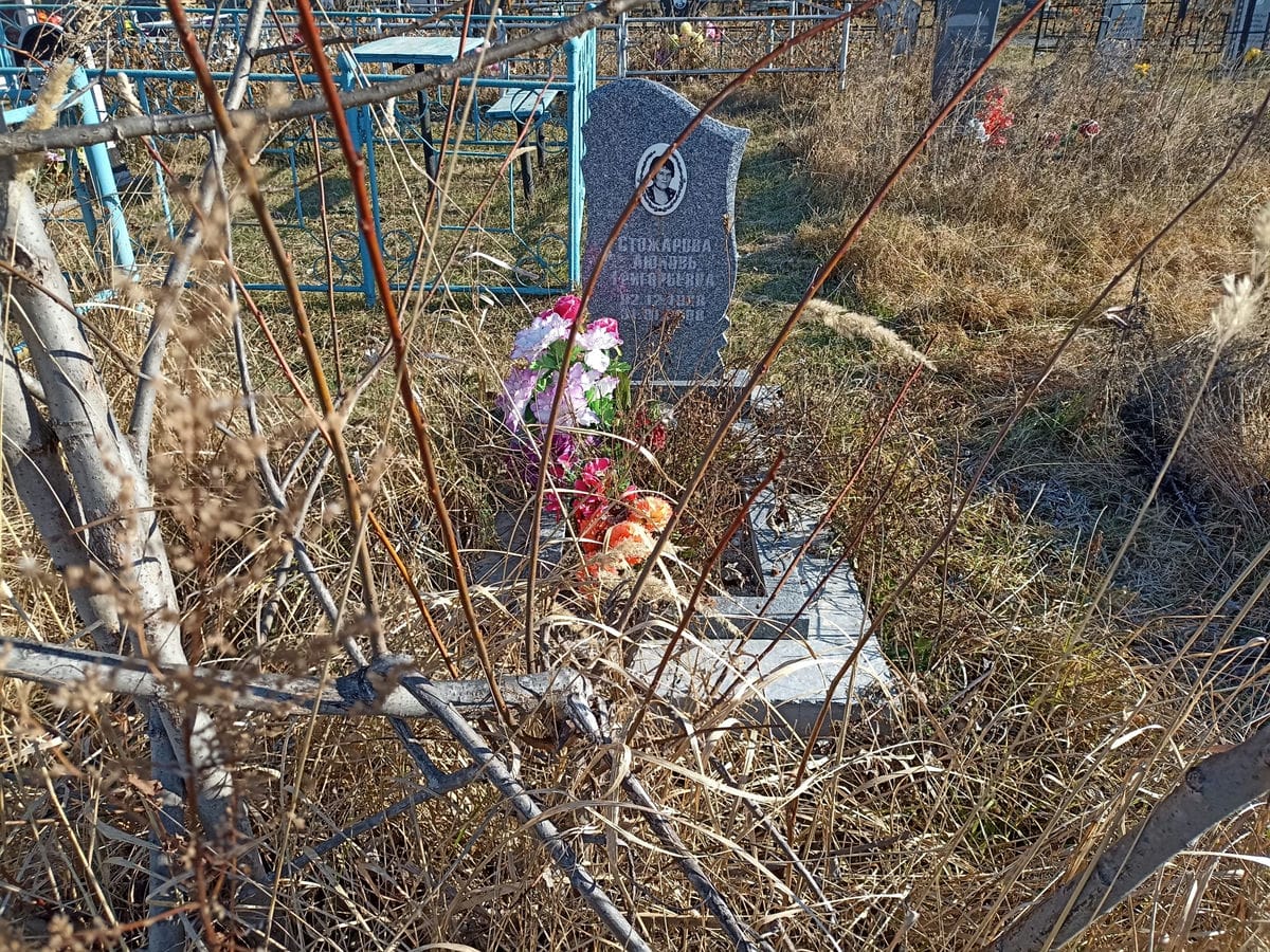 Стожарова Любовь Григорьевна