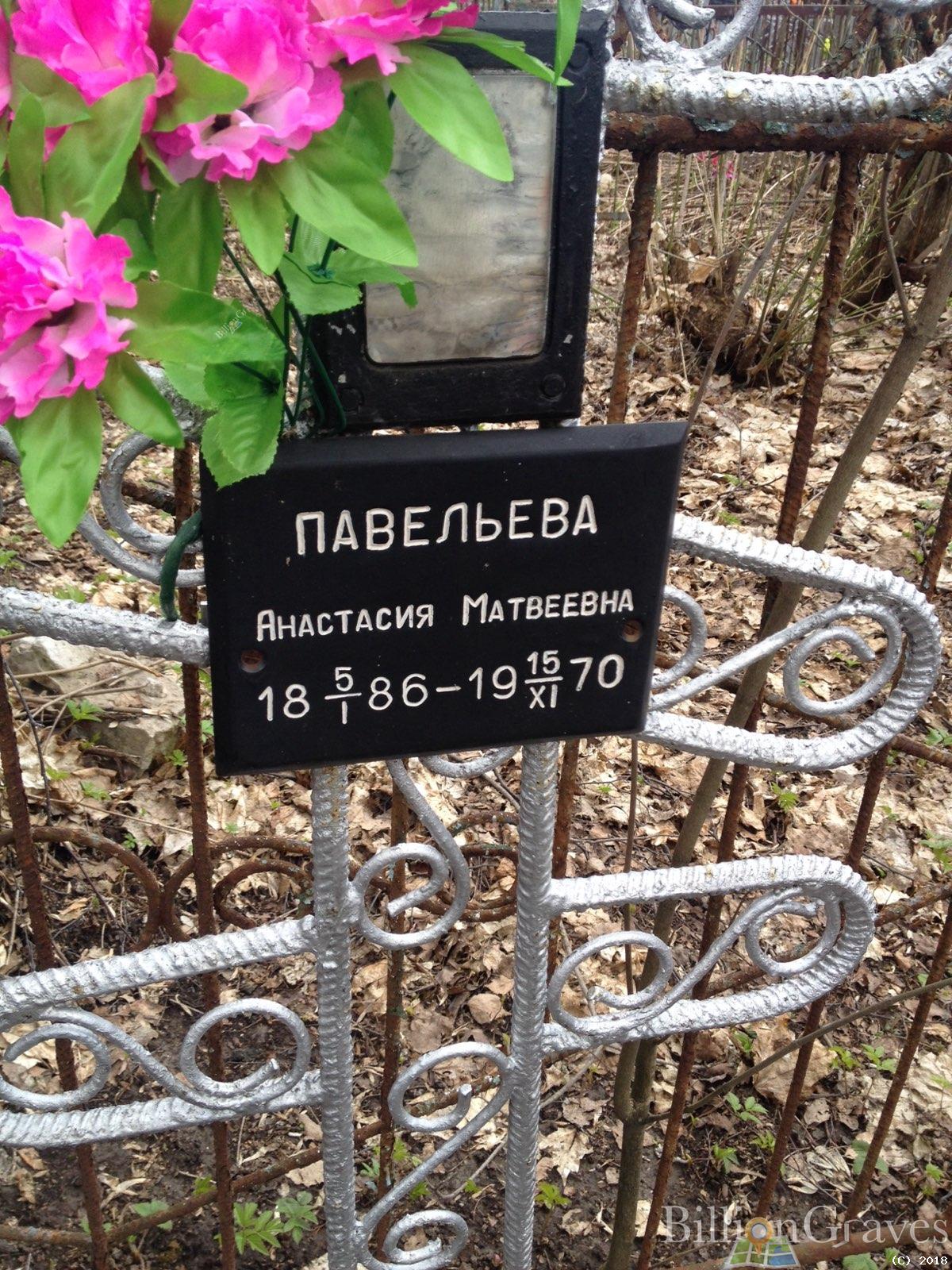 Павельева Анастасия Матвеевна