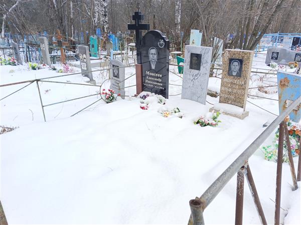 Моисеева Анна Ильинична