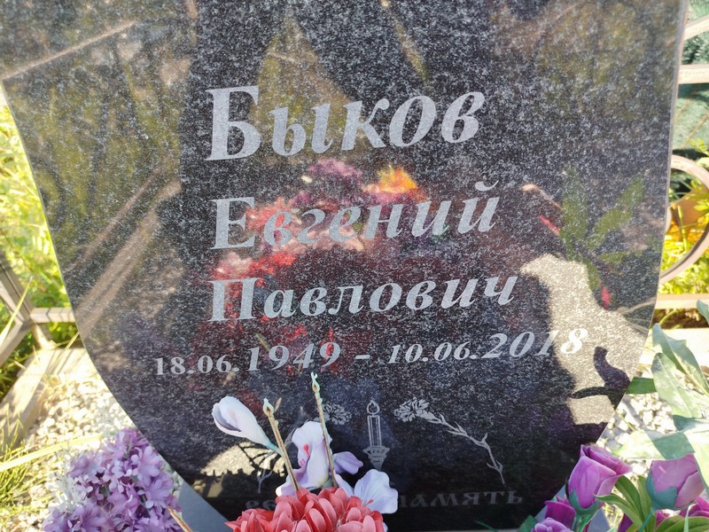 Быков