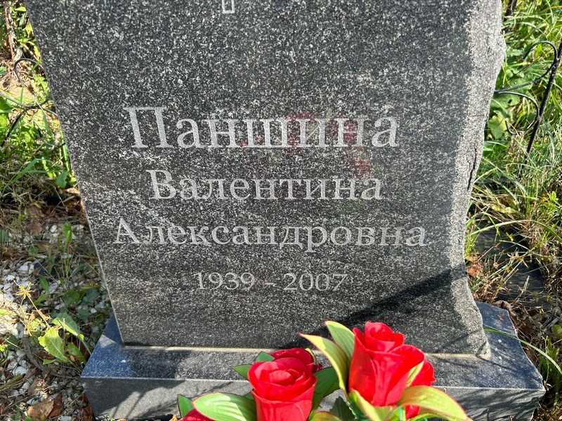 Паншина