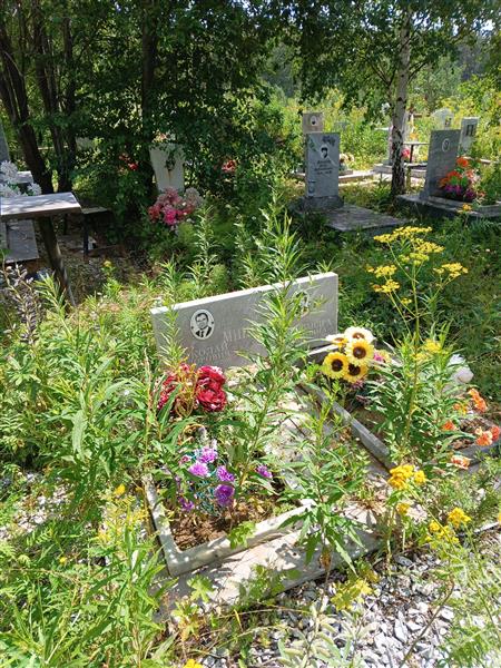 Минеева Александра Павловна