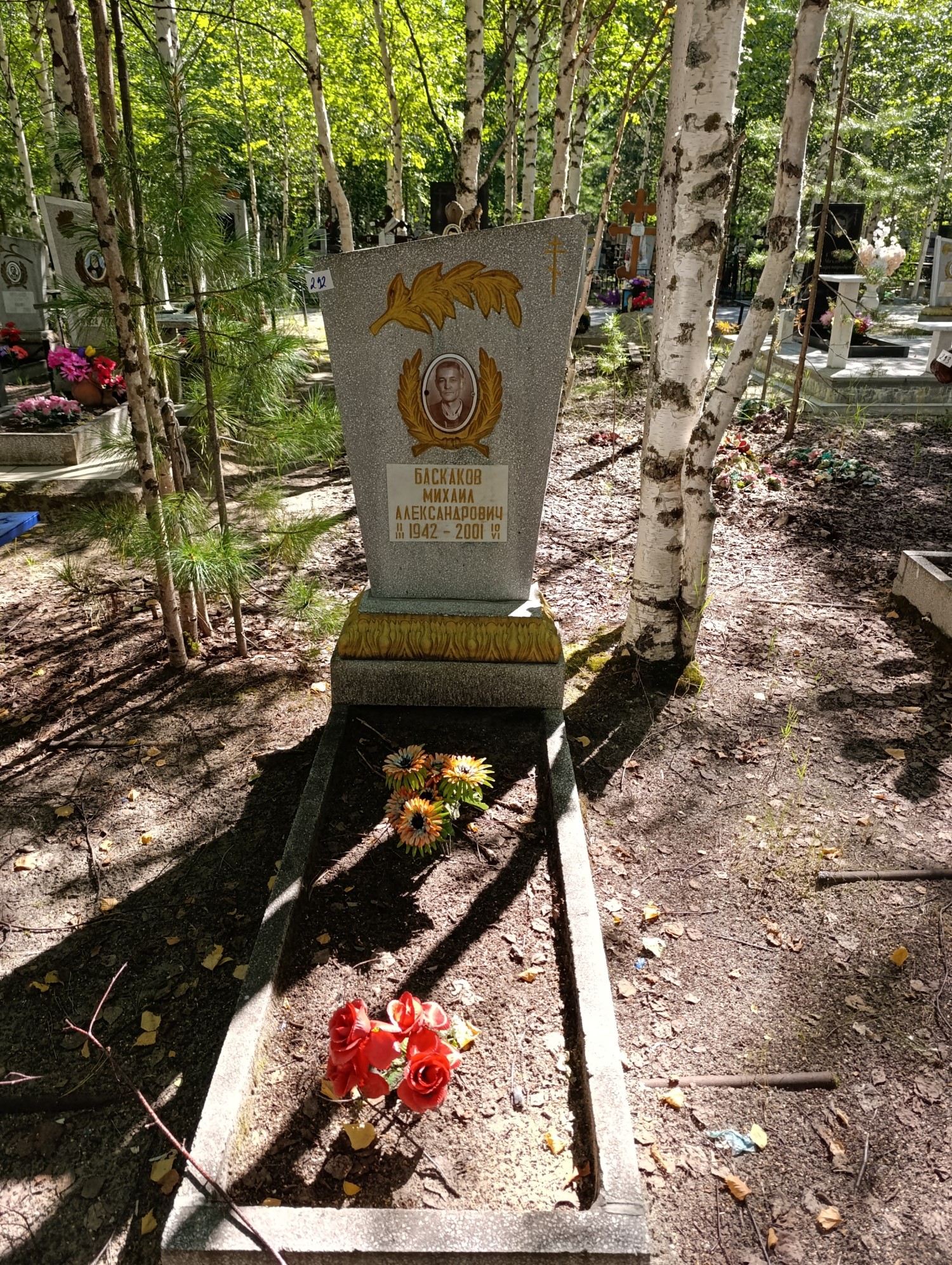Баскаков Михаил Александрович