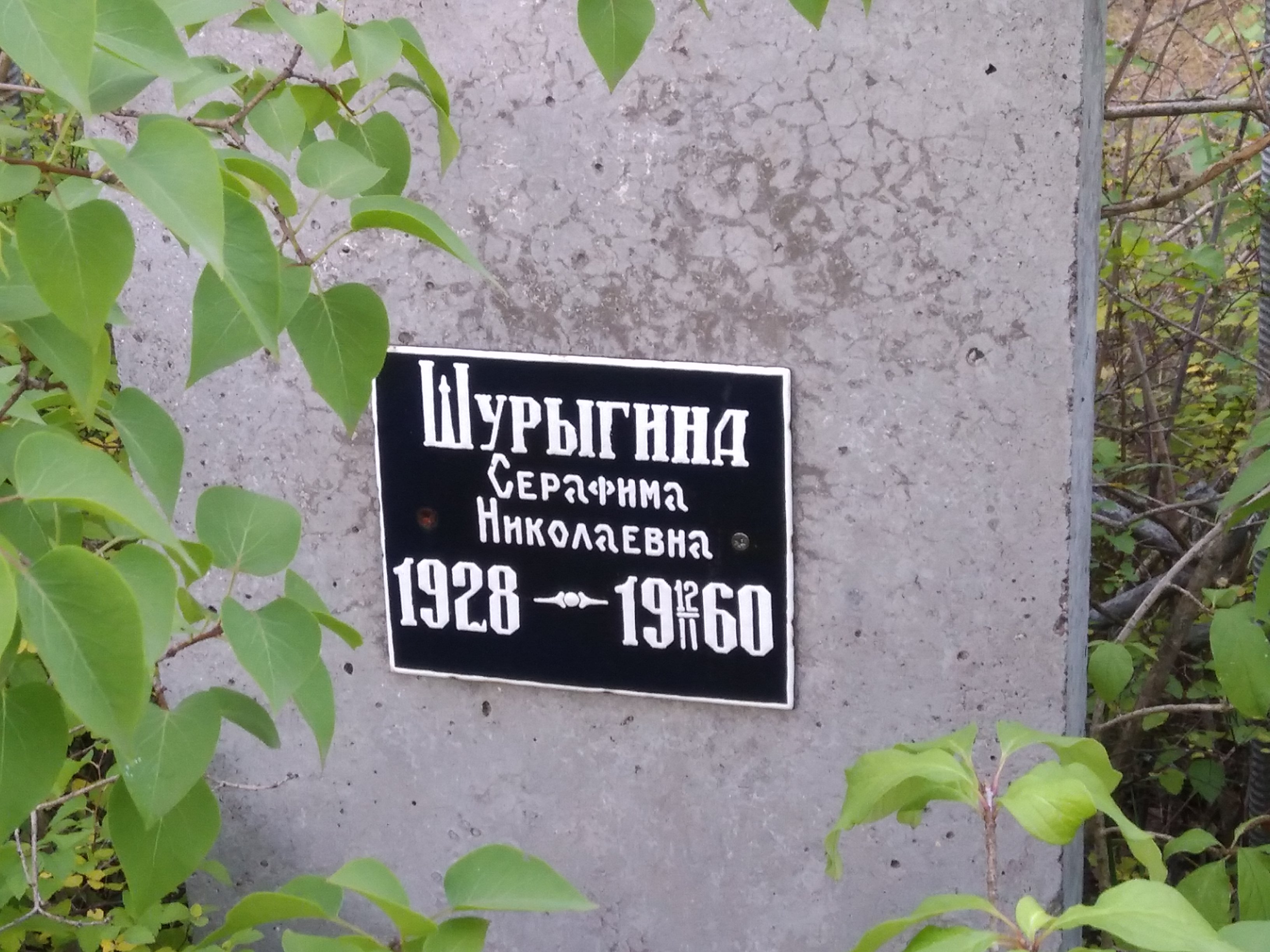 Шурыгина Серафима Николаевна