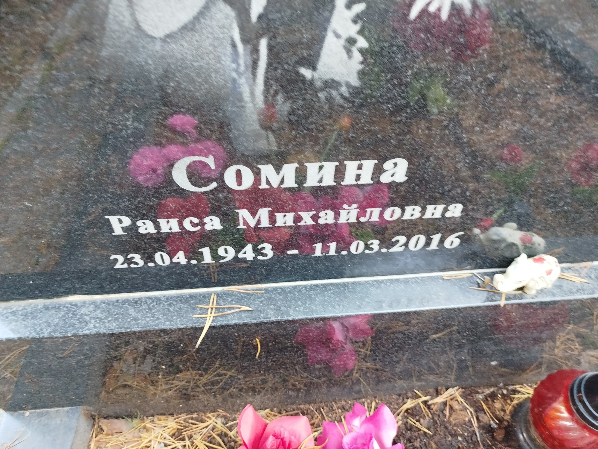 Сомина Раиса Михайловна