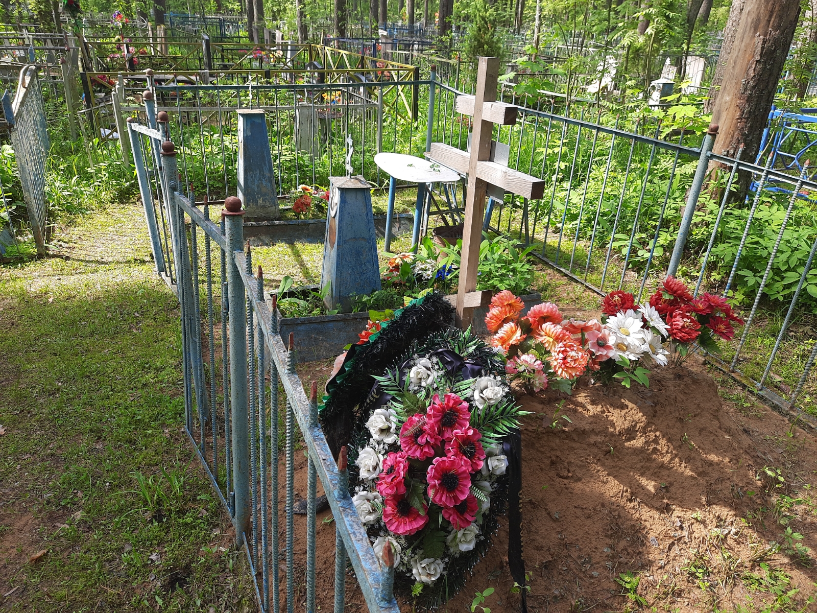 Гуслистов Николай Михайлович