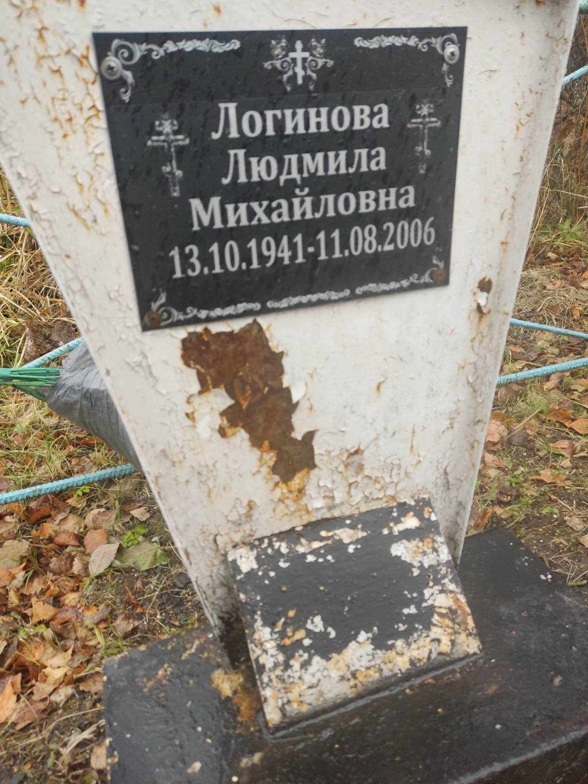 Логинова Людмила Михайловна