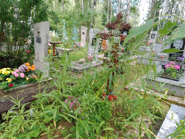 Горбунова Ксения Андреевна