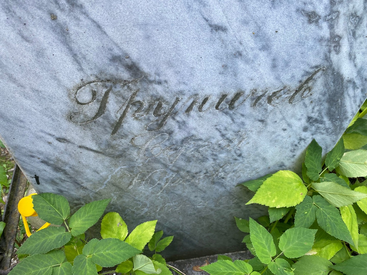 Груничев