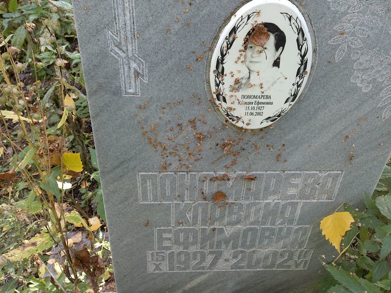 Пономарева