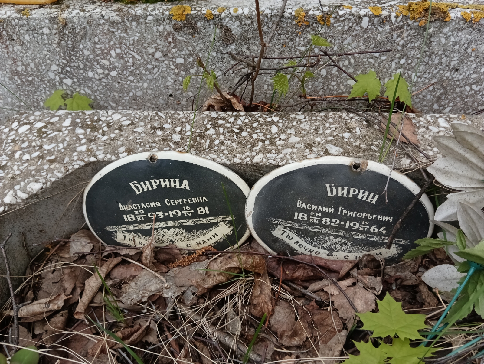 Бирин Василий Григорьевич