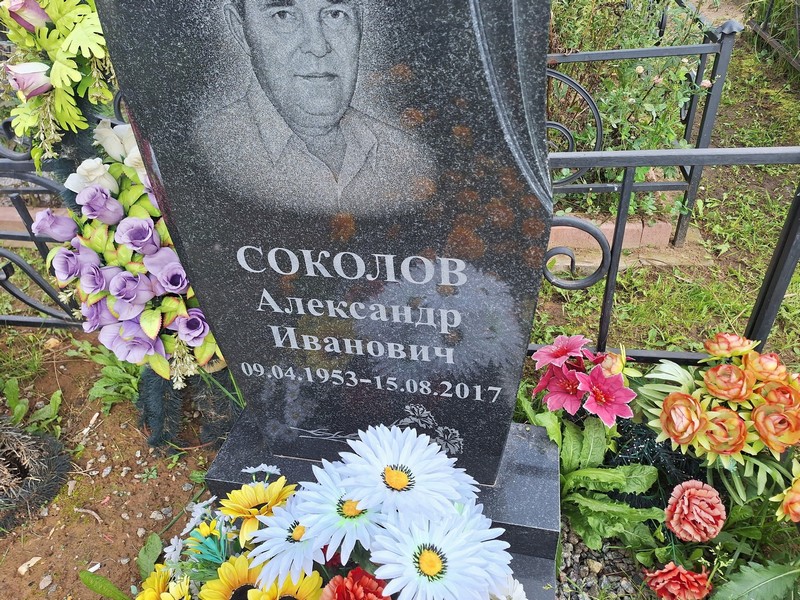 Соколов