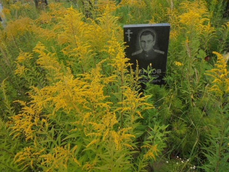 Хренков Александр Васильевич