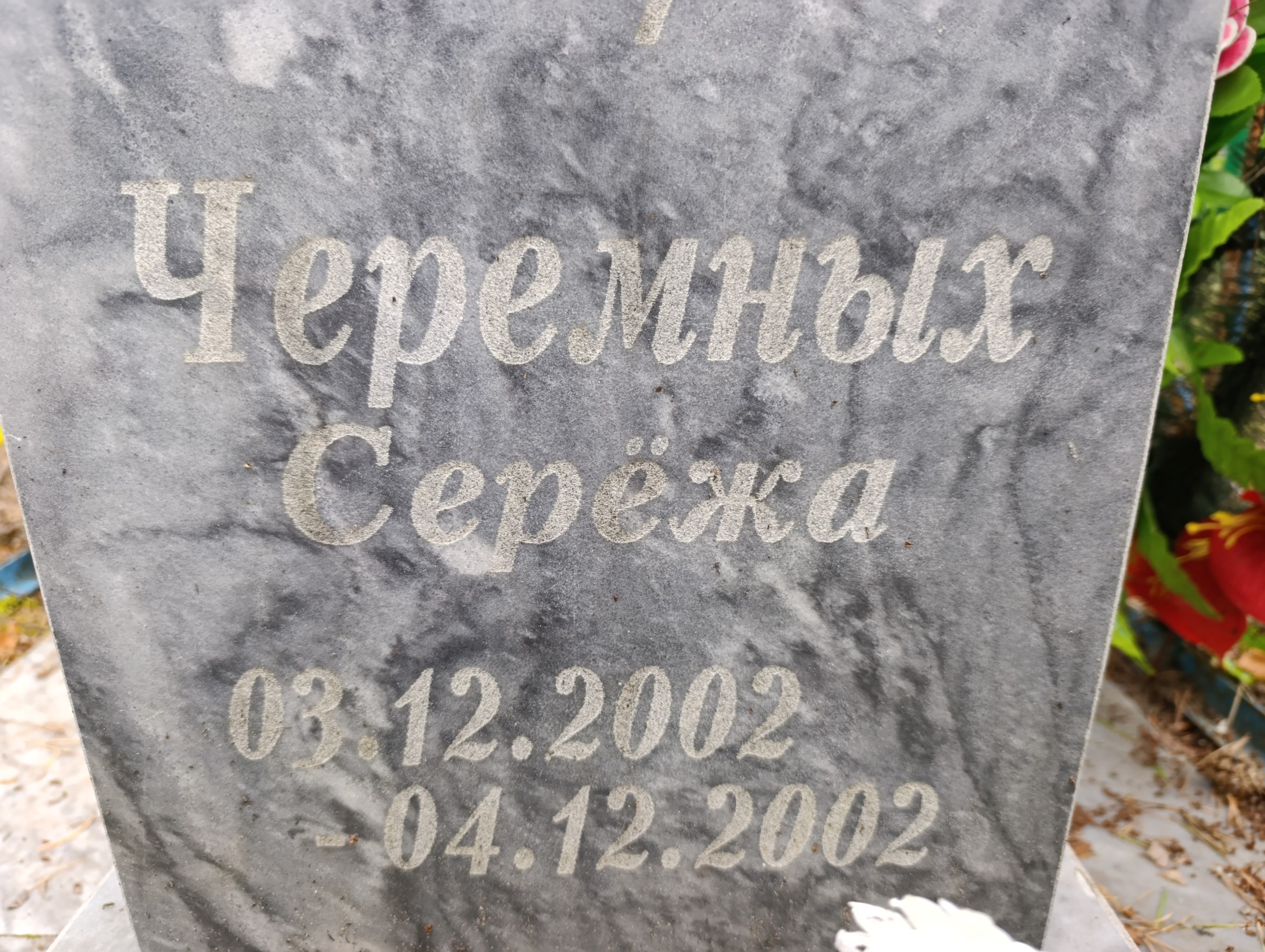 Черемных Сергей