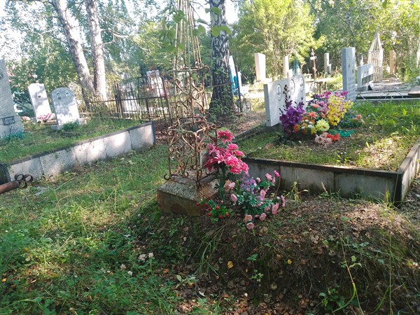 Ширяева Анна Алексеевна